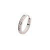Earring With Desing 2mm Thick & Clear Zirkonia -Titanium