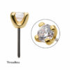 Birthstone Top April -24Kt Gold PVD Titanium - Image 2
