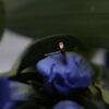 Anatometal Hammered Disk Rose - Image 2