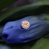 Anatometal Hammered Disk Rose