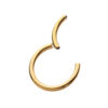 Hinged Segment Clicker -24Kt Gold PVD Titanium - Image 8