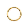 Hinged Segment Clicker -24Kt Gold PVD Titanium