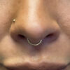 Hinged Segment Clicker -24Kt Gold PVD Titanium - Image 4