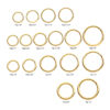 Hinged Segment Clicker -24Kt Gold PVD Titanium - Image 10