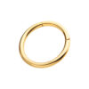 Hinged Segment Clicker -24Kt Gold PVD Titanium - Image 9