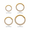Clear Zirconia Eternity Front Facing Clicker -24KT Gold PVD Titanium - Image 7