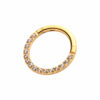 Clear Zirconia Eternity Front Facing Clicker -24KT Gold PVD Titanium