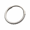 Earring With CNC Set Clear Zirconia -Titanium - Image 2