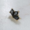 BVLA Gold End - Daydream - Image 4