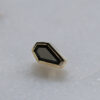 BVLA Gold End – Coffin - Image 4