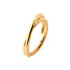 Double Hoop Clicker -24Kt Gold PVD Titanium