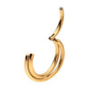 Double Hoop Clicker -24Kt Gold PVD Titanium - Image 6