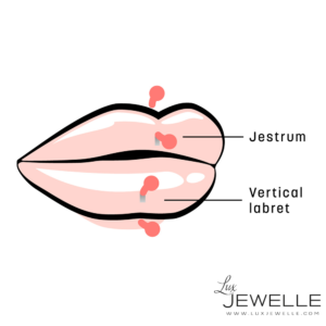 Vertical labret and Jestrum