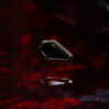 BVLA Gold End – Coffin