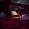 BVLA Gold End – Pan