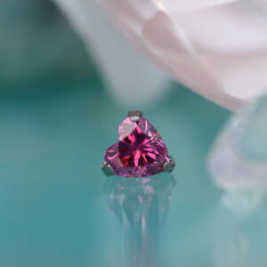 Neometal Heart Rubellite Top
