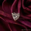 Neometal Heart Clear Top - Image 4